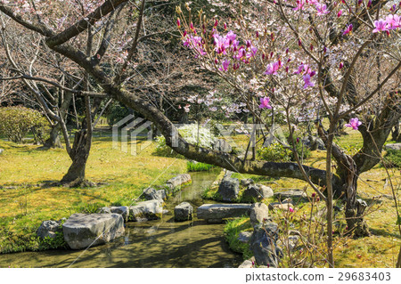 Spring Bargaining Place 29683403