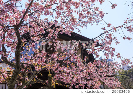 Spring Bargaining Place Spring Bargaining Place 29683406