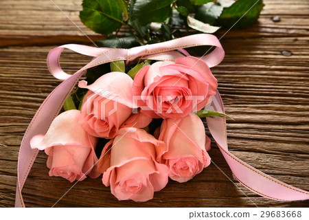 Rose 29683668