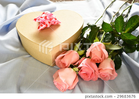 Rose 29683676