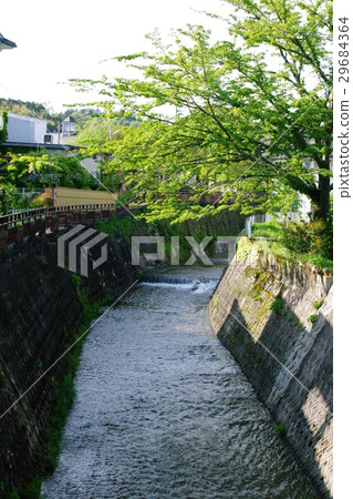 Peaceful scenery Peaceful scenery 29684364