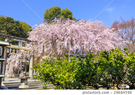 大石神社 大石神社 29684598
