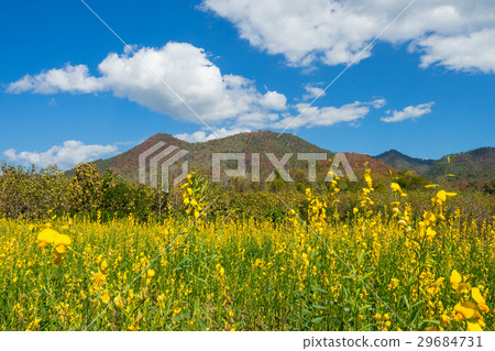 Natural view and mountain at Pai, Thailand. 29684731