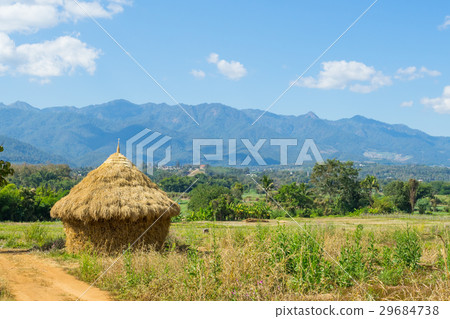 Harvesting of straw like a cottage in Thailand 29684738
