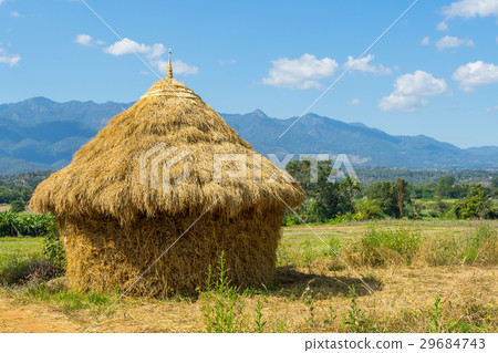 Harvesting of straw like a cottage in Thailand 29684743