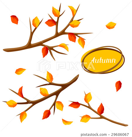 Autumn set with branches of tree and yellow leaves Autumn set with branches of tree and yellow leaves 29686067