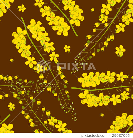 Cassia Fistula - Golden Shower Flower Cassia Fistula - Golden Shower Flower 29687005