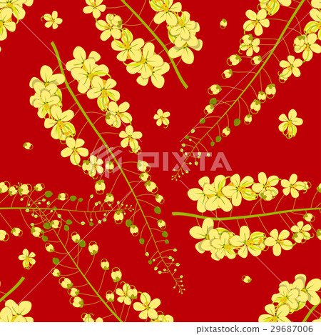 Cassia Fistula - Golden Shower Flower 29687006