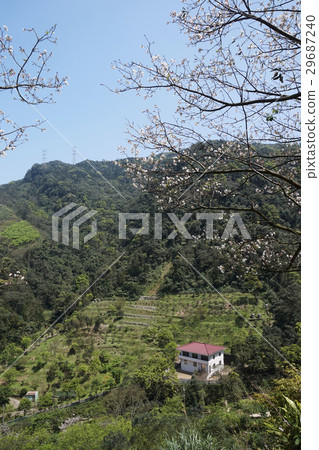 風景 風景 29687240