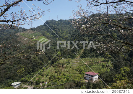 風景 風景 29687241