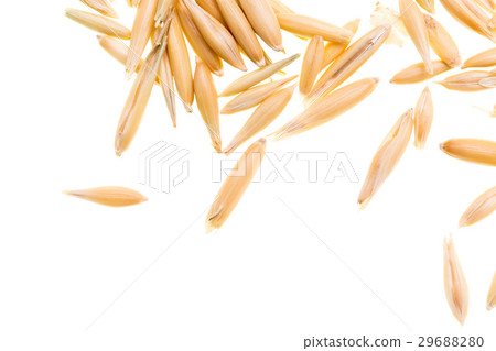 Corn oats on a white background 29688280