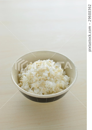 Mochi大麥米 Mochi大麥米 29688362