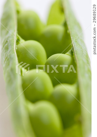 pea pod pea pod 29689129