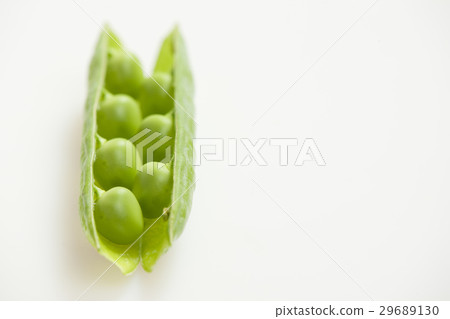 pea pod pea pod 29689130