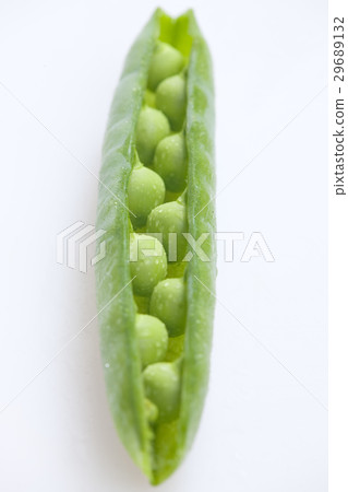 pea pod pea pod 29689132