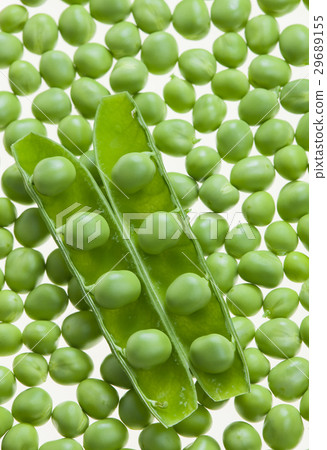 pea pod with peas pea pod with peas 29689155