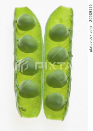 pea pod pea pod 29689156