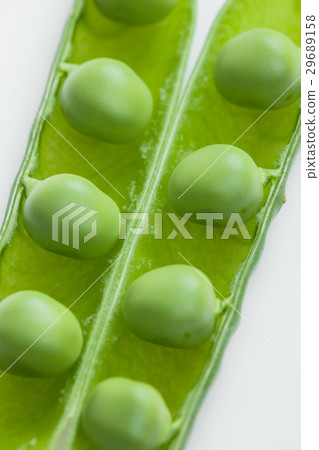 pea pod pea pod 29689158