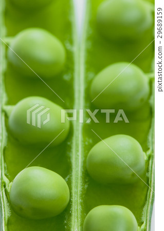 pea pod pea pod 29689159