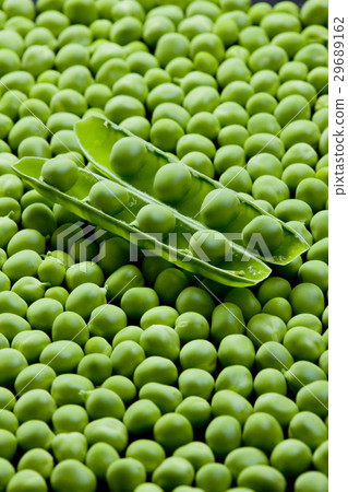 pea pod with peas 29689162