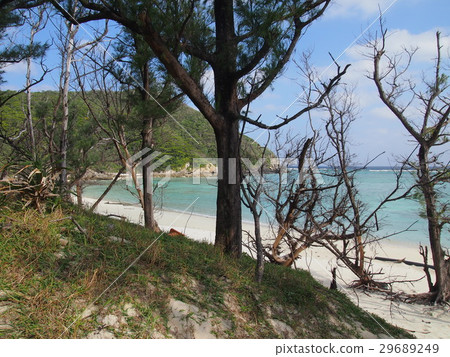 Inno beach Inno beach 29689249