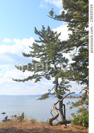 在宮城縣氣仙沼市的岩崎 29689584