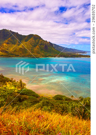 夏威夷的風景 29689702