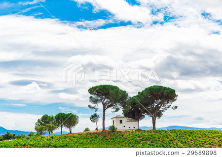 Landscape with green field 29689898