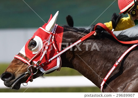 Horse race Horse race 29689907