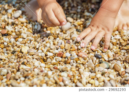 Child hands collect pebbles Child hands collect pebbles 29692293