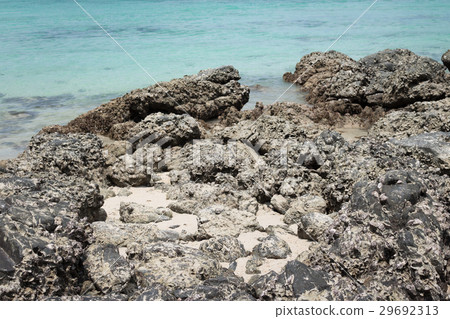 Rock on the beach with sea Rock on the beach with sea 29692313