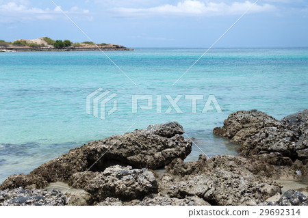 Rock on the beach with sea Rock on the beach with sea 29692314