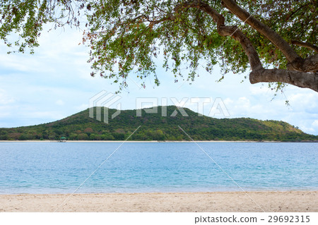 Seascape with mountain and tree 29692315