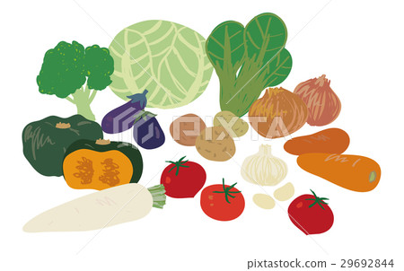 Vegetable collection 29692844