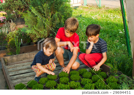Children with green seedlings 29694451