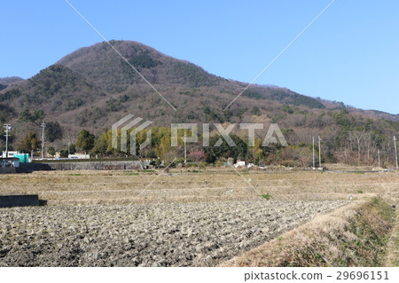 山腳下的二條山和稻田 山腳下的二條山和稻田 29696151