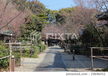 Kyoto Nishiki Shrine Kyoto Nishiki Shrine 29696452