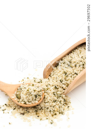 大麻種子（大麻果實）：大麻種子 29697502