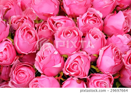 Synthetic Pink Rose flower for background. Synthetic Pink Rose flower for background. 29697664