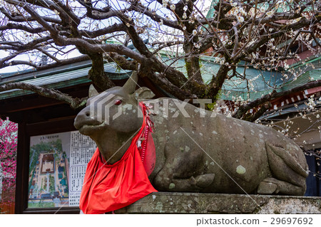 Kitano Tenman-gu Shrine Kitano Tenman-gu Shrine 29697692