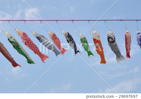 鯉魚旗（神奈川縣相模川） 29697697