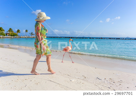 Flamingo beach. Aruba 29697701