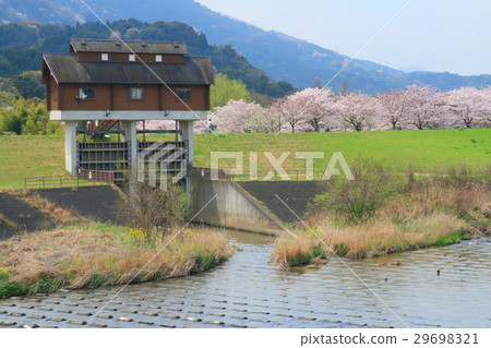 Spring River II 29698321