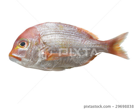 Fresh Meat & Seafood 29698838