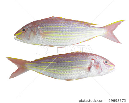 Fresh Meat & Seafood Fresh Meat & Seafood 29698873