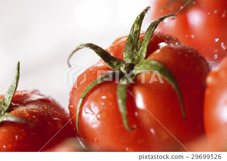Fresh Food Fresh Food 29699526