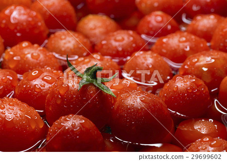 Fresh Food 29699602
