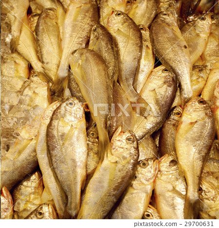 Fresh Meat & Seafood 29700631