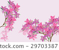Azalea flowers  hand drawn watercolor 29703387