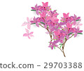 Azalea flowers  hand drawn watercolor 29703388